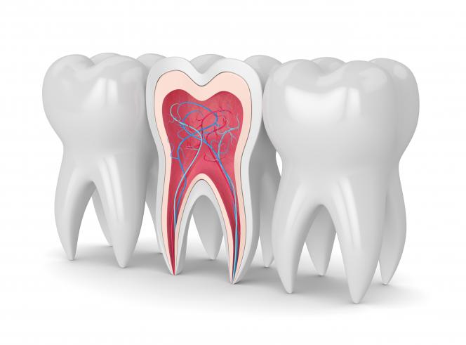 Radice dente rotta sintomi Radice dente rotta sintomi