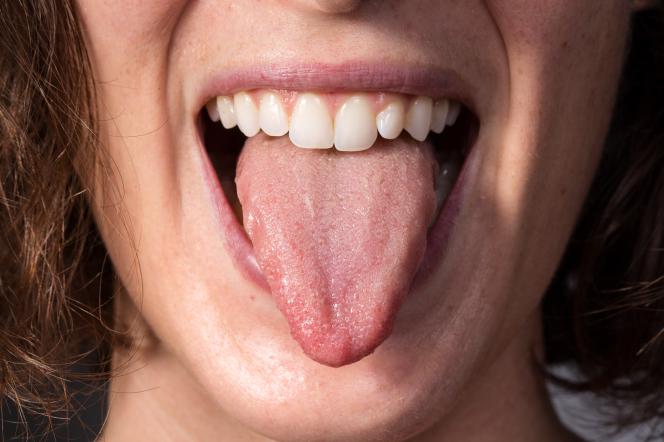 Che Lingua Si Parla A Ginevra