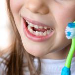 Denti bambini 1 anno