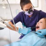 Denti canini inferiori