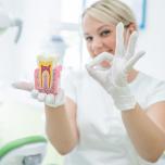 Maxillo facciale denti