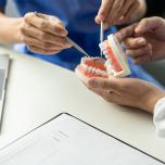 Modelli dentali