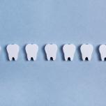 Quali sono i denti che cadono