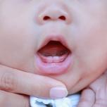 Quanto tempo impiega un dentino a spuntare