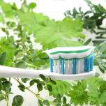 Salvia per sbiancare i denti 