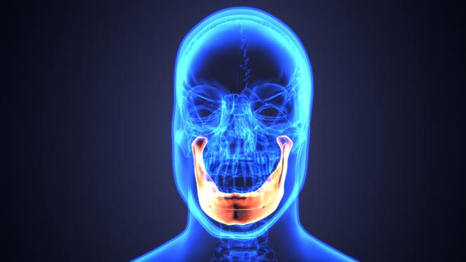 Articolazione temporo mandibolare anatomia Articolazione temporo mandibolare anatomia