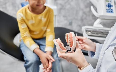 Modelli dentali