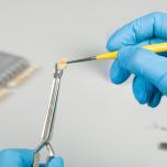 Colla per denti che si muovono