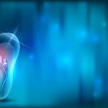 Idrocortisone per gengive