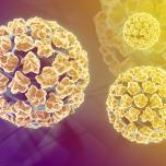 Papilloma in bocca è contagioso