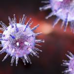 Afte o herpes